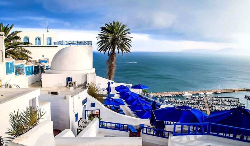 UNESCO places Tunisia's Sidi Bou Said village on World Heritage List